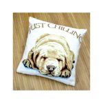 Cuscino cane Labrador