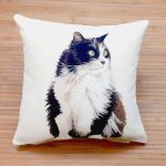 cuscino con gatto a pelo lungo