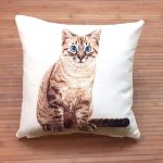 Cuscino con gatto Europeo